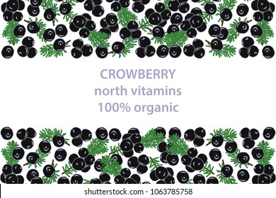  vector illustration of crowberry and leaf design background white and berry and text north vitamins for you 100% organic EPS10