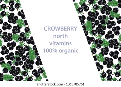  vector illustration of crowberry and leaf design background white and berry and text north vitamins for you 100% organic EPS10
