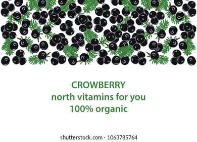  vector illustration of crowberry and leaf design background white and berry and text north vitamins for you 100% organic EPS10