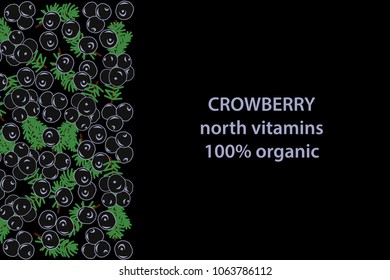 vector illustration of crowberry and leaf design background black and berry and text north vitamins for you 100% organic EPS10