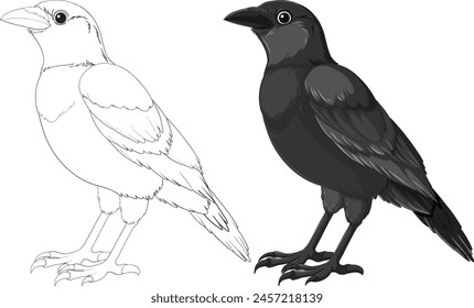 Vector illustration of crows in black and white.