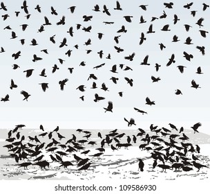 Vector illustration of the crows on the snowy field