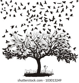 vector illustration of the crows on the tree and in the air