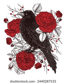 Vector illustration of crows in red roses and berries in engraving style