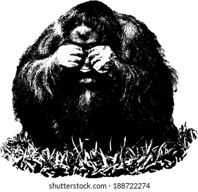 Vector illustration of a crying Borneon Orangutan scientifically known as Pongo pygmaeus. 
