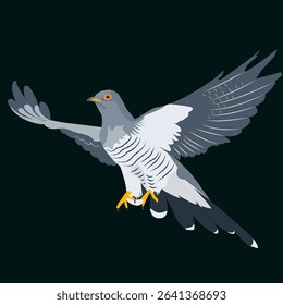 Vector illustration of a cuckoo in flight on a dark background. The bird is depicted with spread wings. Minimalistic style, clear shapes and rich colors.