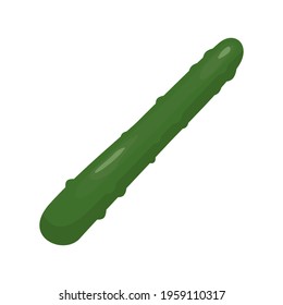 Vector illustration of a cucumber
