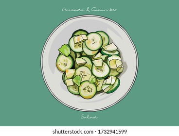 Vector Illustration of Cucumber and Avocado Salad