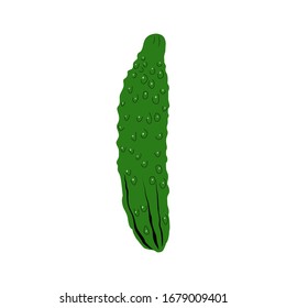 Vector illustration of cucumber in cartoon simple flat style isolated on white background. Healthy food concept. 