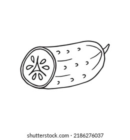 Vector illustration of cucumber in doodle style
