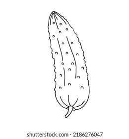 Ilustración vectorial del pepino en estilo doodle