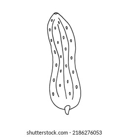 Ilustración vectorial del pepino en estilo doodle