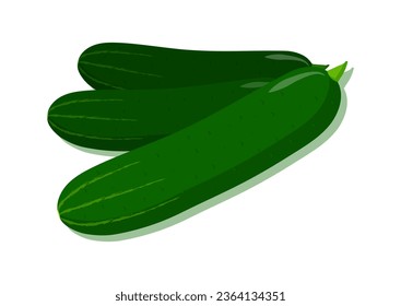 Ilustración vectorial de la verdura fresca de pepino. Deliciosa comida saludable