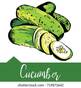 Vector illustration of a cucumber in hand drawn graphics depicted on a green background