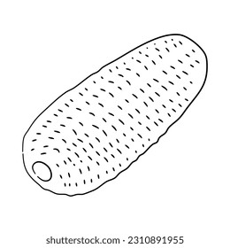 Vector illustration of a cucumber in hand-drawn black sketch style. Doodle icon.
