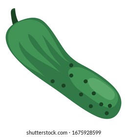 Ilustración vectorial de diseño plano de icono de pepino.  Ilustración de un pepino, icono, objeto aislado en un fondo blanco. Vegetarianismo, comida sana, verduras orgánicas . Para libros, revistas