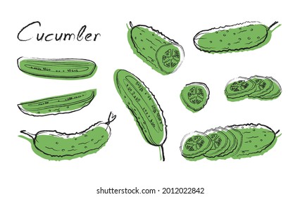 Сucumber. Vector illustration of cucumber Isolated on white background. Whole vegetable, and half and thin slices.