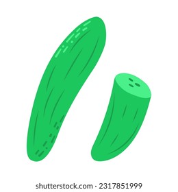 Vector illustration of cucumber isolated on white background.