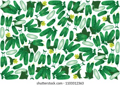 vector illustration of cucumber and leaf design background white and vegetable EPS10