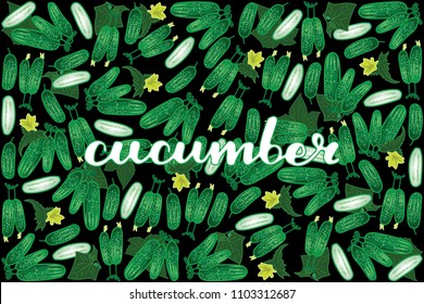 vector illustration of cucumber and leaf design with lettering cucumber background black and vegetable EPS10