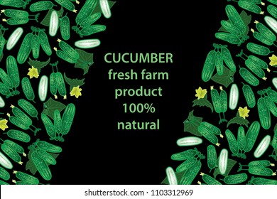vector illustration of cucumber and leaf design background black and vegetable and text fresh farm product 100% natural EPS10