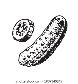 vector illustration of a cucumber on a white background. sketch, hand-drawn drawing. isolated on white