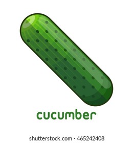 Vector illustration of cucumber on white background.