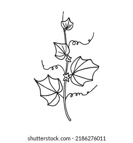 Vector illustration of cucumber plant in doodle style