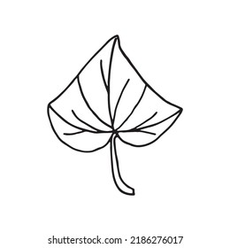 Ilustración vectorial de la planta de pepino en forma de doodle