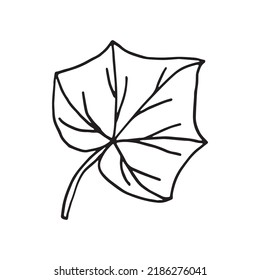 Vektorgrafik von Gurkenpflanze im Doodle-Stil
