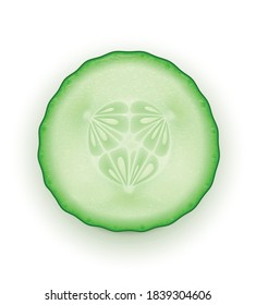 Vector illustration of a cucumber slice.