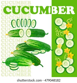 Vector illustration with cucumber and slices isolated on white background.  Flat style healthy food.  Set of cucumbers.
