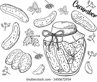 Vector illustration of cucumbers and canning. Isolated fresh vegetables. 