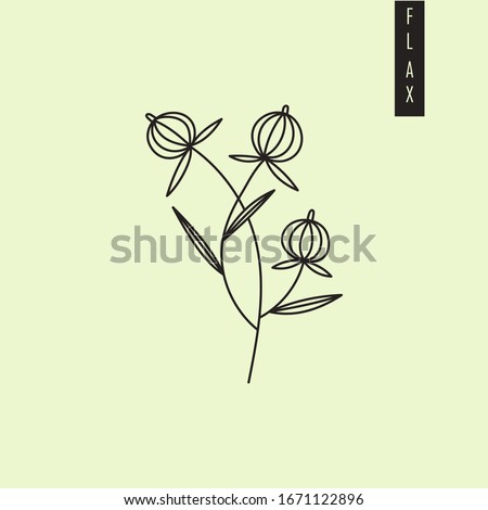 Vector illustration of cultivated dry flax plant with seeds in outline style isolated on green background. Flax seed drawing for emblem, logo, icon, print for medicine, textile and culinary sphere.
