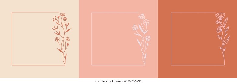 Ilustración vectorial de la planta de lino cultivado con semillas de flor exótica con hojas en forma de contorno. Conjunto o colección de cuadros cuadrados botánicos florales elegantes.