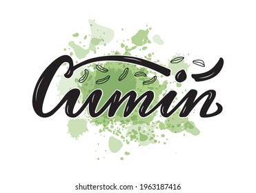 Vector illustration of cumin lettering for packages, product design, banner, sticker, spice shop price list and  decoration. Handwritten word with scattered seeds for web or print
