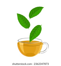 Vector illustration, cup of tea with leaves of Ilex guayusa, known as
guayusa, isolated on white background.