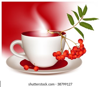 Vector illustration. Cup of tea and ripe ashberry.