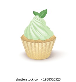 Vector illustration cupcake with mint whipped cream and two green leaves on white background. Isolated clipart with one sweet cake