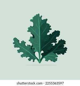 Vektorgrafik Curly kale, dunkelgrünes Blattgemüse. Naturbiologisches Gemüse Kale