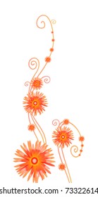 Vector illustration of curly orange flowers isolated on white