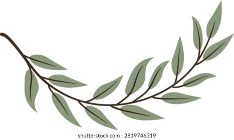 Vector illustration of curved brown branches with slender green leaves against a white background, botanical motif, minimal.