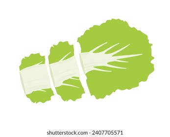 Vector illustration of cut Chinese cabbage