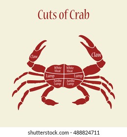 Vector illustration cut of meat set. Poster butcher diagram and scheme - Crab