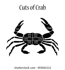 Vector illustration cut of meat set. Poster butcher diagram and scheme - Crab