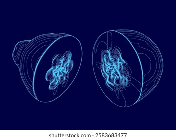 Vector illustration of cut papaya outline made of blue lines isolated on dark background.