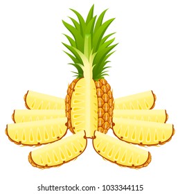 Vector illustration of cut pineapple and slices isolated on white background. Ripe tropical fruit.