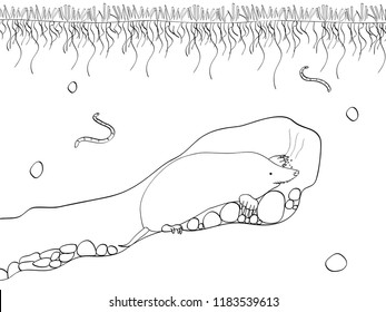 Vector illustration cut section of land with blue sky, grass, underground soil with dirt, mud, stone and gophers in hole. Coloring, black lines, white background.