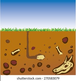 Vector illustration cut section of land with blue sky, grass, underground soil with dirt, mud, stone, bones and gophers in hole