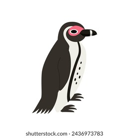 Vector illustration of cute African penguin isolated on white background.